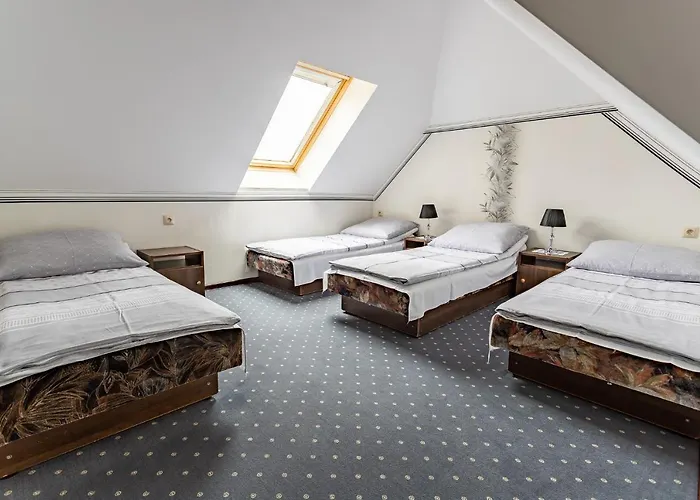 Goscinne Katarzyna Kur 3* Debki